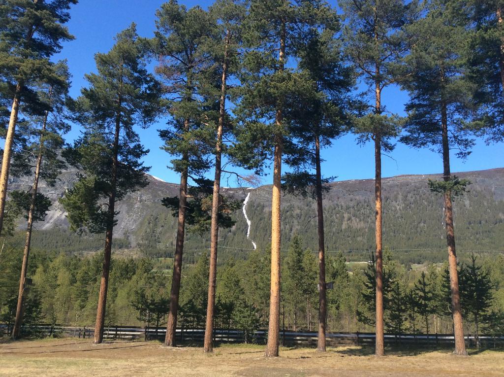 Furuly Camping Nordberg Екстер'єр фото