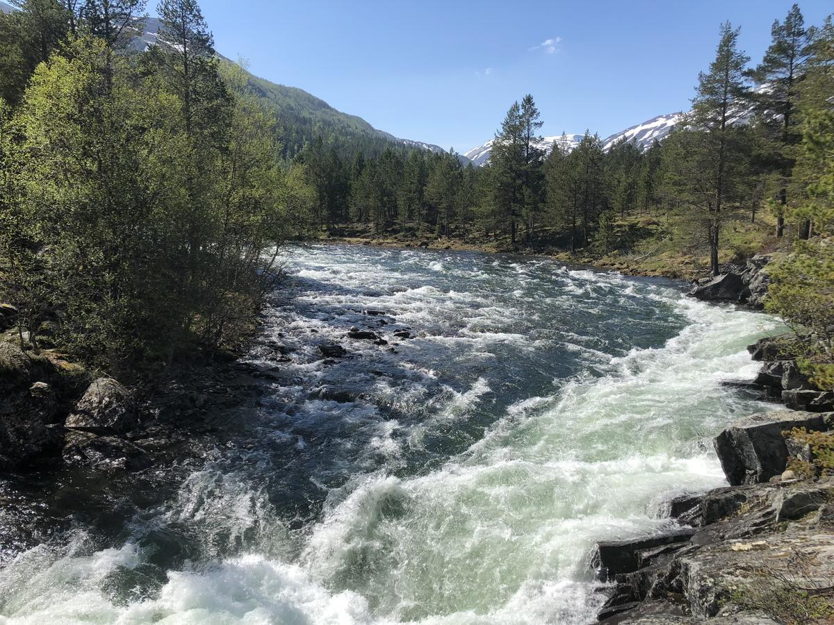 Furuly Camping Nordberg Екстер'єр фото
